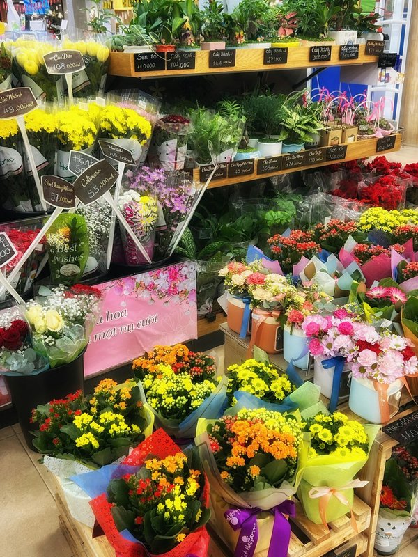 Découvrez la magie de fleur de vie boutique en ligne